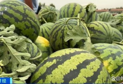 今日热瓜 吃瓜 每日更新.co,每日更新，吃瓜群众必看！”